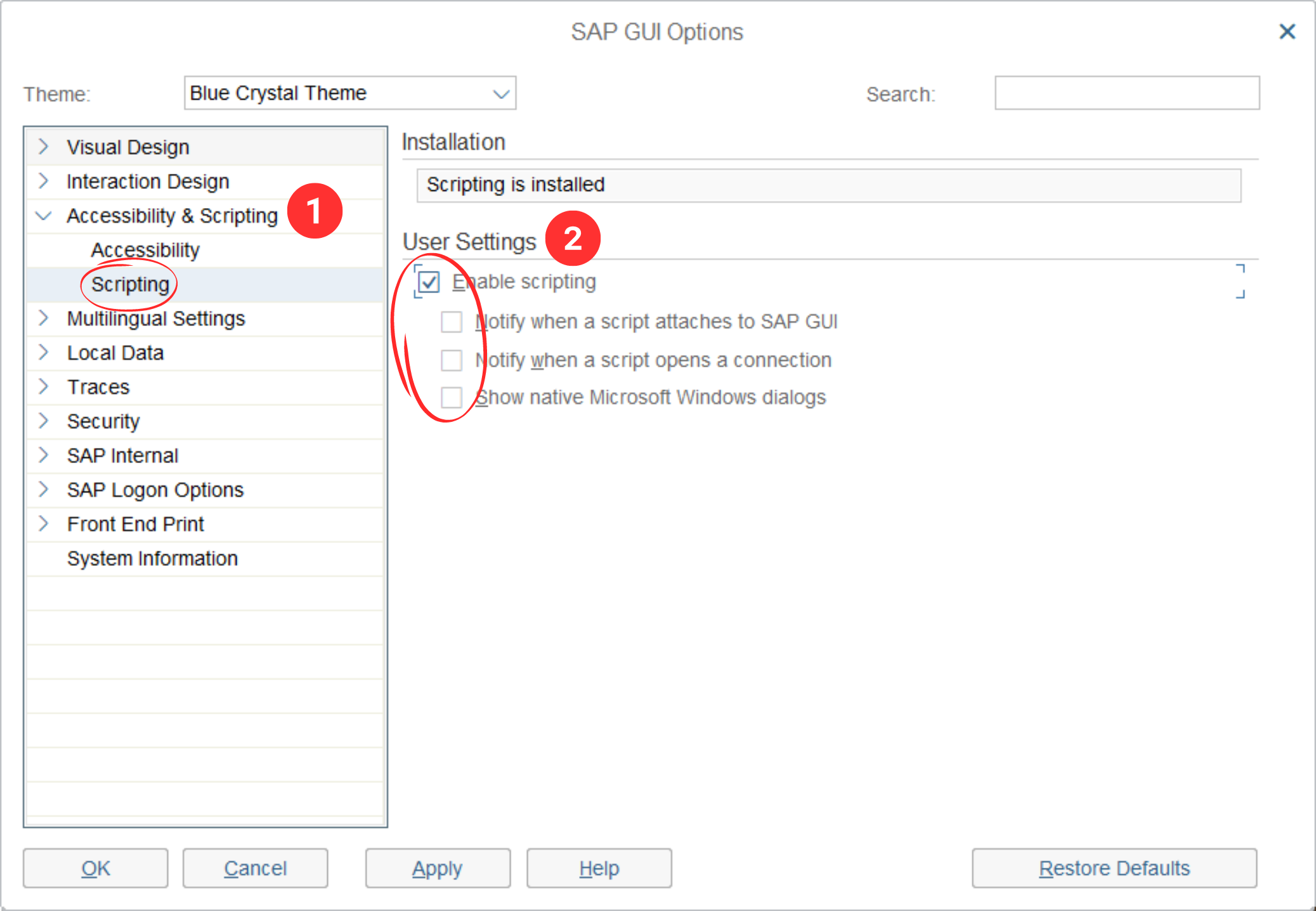 SAP GUI Options