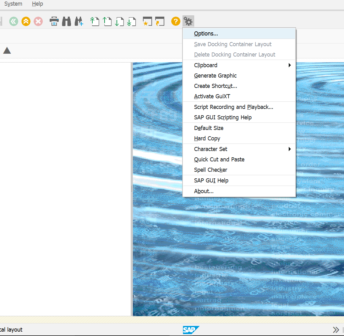 Options menu in SAP GUI